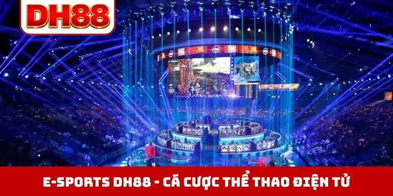 Đá Gà DH88 - Xem Trực Tiếp Chọi Kê Thomo Hôm Nay Full HD
