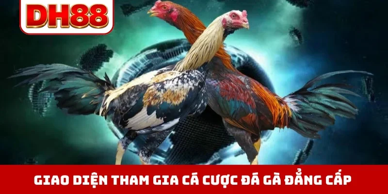 Đá Gà DH88 - Xem Trực Tiếp Chọi Kê Thomo Hôm Nay Full HD